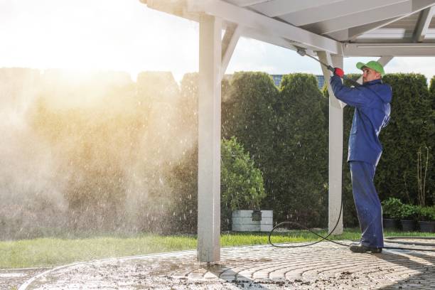 Best Soft Washing  in Benwood, WV