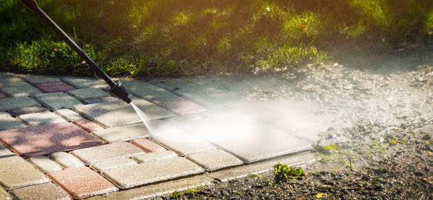 Animal Enclosure Cleaning in Benwood, WV